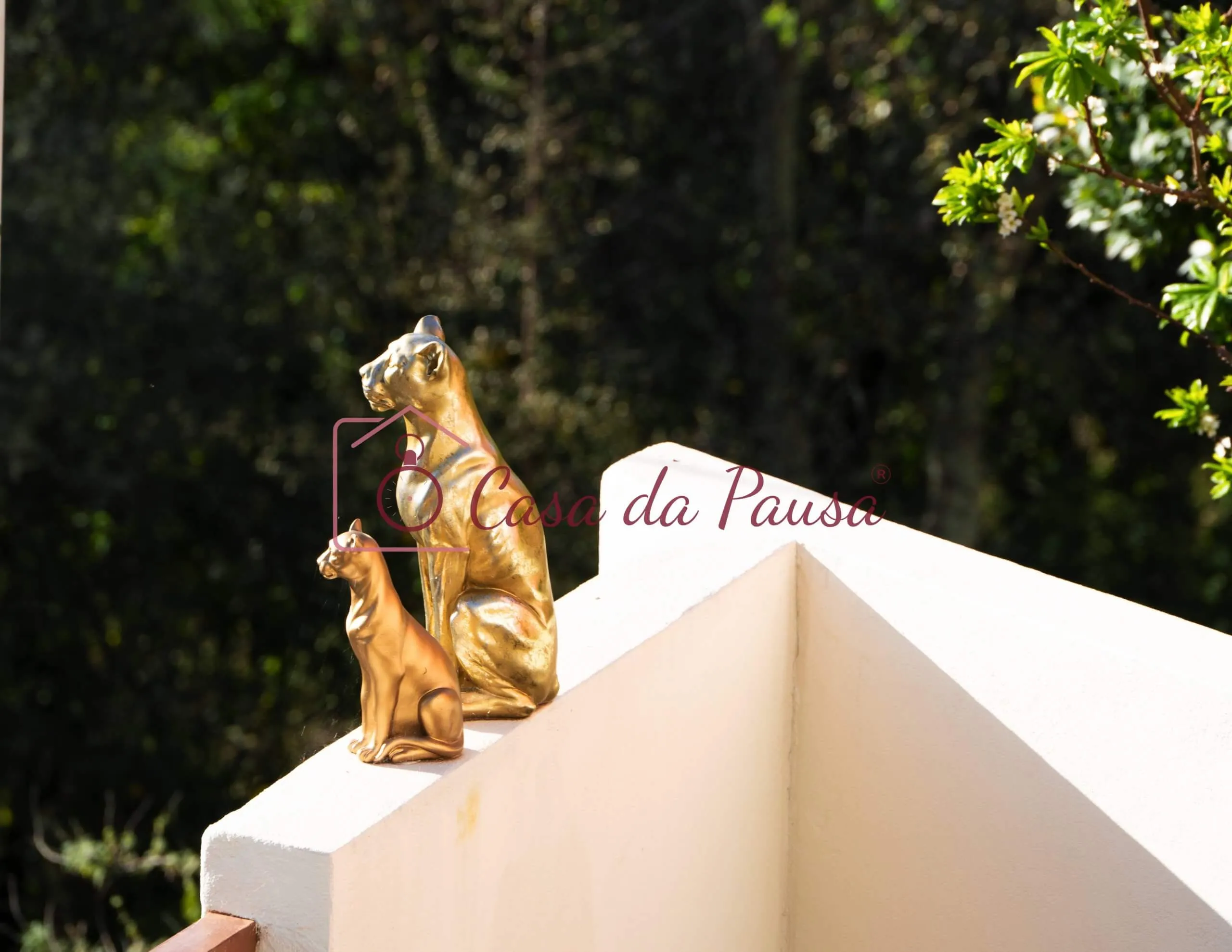 Casa da Pausa, fotografia 48 de 60